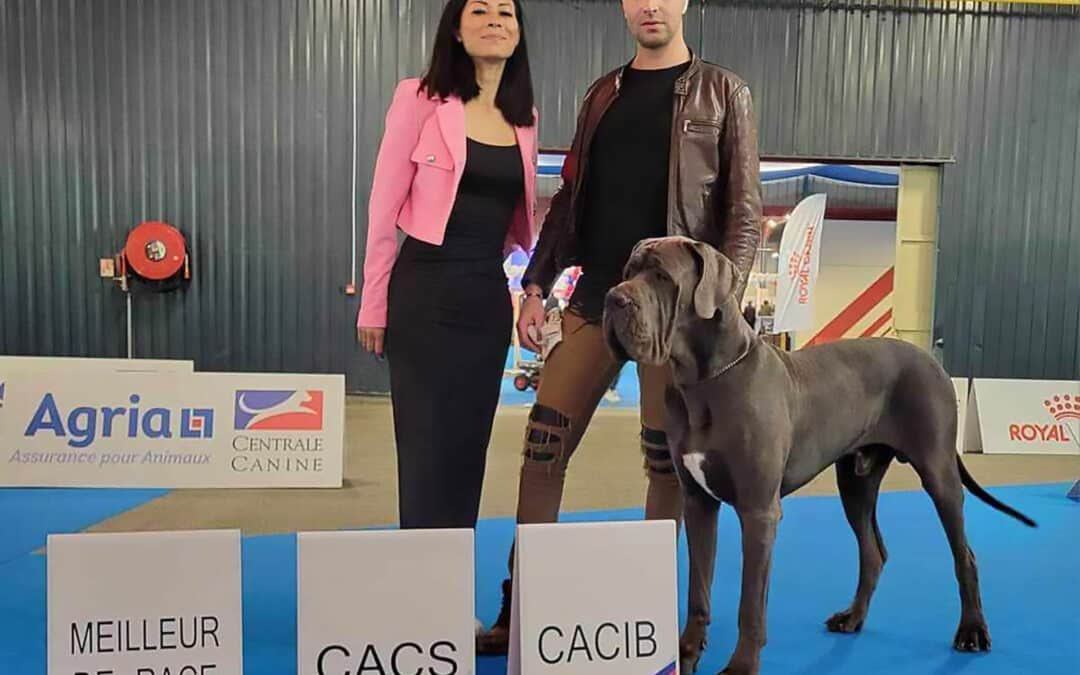 Championnat de France Montluçon 2024
